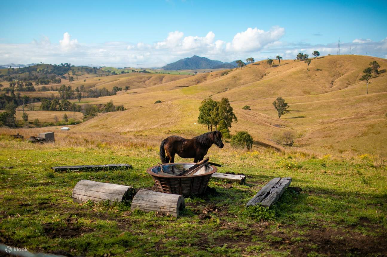 ダム イット ゲッタウェイ